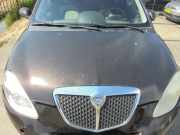 Motorhaube Lancia Ypsilon 843 51701685