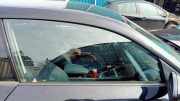 Seitenscheibe rechts vorne BMW 1er E81 51337165580