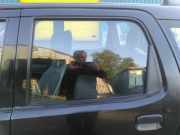 Türscheibe links hinten Suzuki Ignis FH