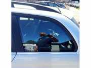 Dreieckscheibe links BMW 3er Touring E46 51367891405