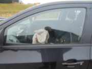 Türscheibe links vorne Chevrolet Aveo Schrägheck T300