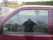 Türscheibe links Citroen Saxo S 920151