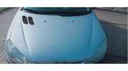 Motorhaube Peugeot 206 Schrägheck 2A/C 7901K1