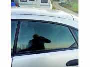 Türscheibe links hinten Mazda 323 F V BA