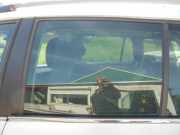 Türscheibe links hinten Citroen C4 Grand Picasso U 9203GV