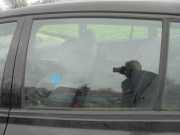 Türscheibe links hinten Kia Rio Kombi DC 0K34C73511
