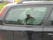 Dreieckscheibe rechts Volvo V50 545 8650443