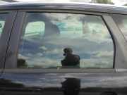 Türscheibe links hinten Ford Focus II Turnier DA, DS, FFS 4M51N25713AA