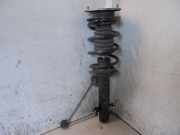 Federbein rechts vorne Mini Mini Countryman R60 31309813654