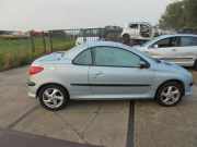 Dreieckscheibe rechts Peugeot 206 CC 9204J0