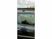 Türscheibe rechts hinten Renault Megane II Grandtour KM 8200715238