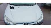 Motorhaube Peugeot 206 CC 7901K1