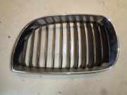 Kühlergrill BMW 1er E87 51137077129