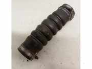 Ladeluftschlauch Citroen C5 III Break RW 9684980180