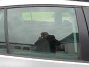 Türscheibe rechts hinten VW Golf V 1K 1K4845026B