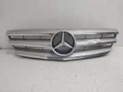 Kühlergrill Mercedes-Benz B-Klasse Sports Tourer W245 A1698800883