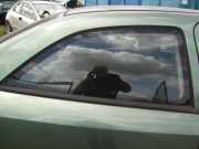 Dreieckscheibe rechts Opel Astra G CC T98 93240604