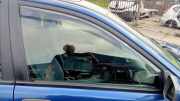 Türscheibe rechts vorne Volvo S40 I 644 30802905