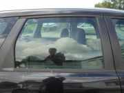 Türscheibe rechts hinten Ford Focus II Turnier DA, DS, FFS 4M51A25712AA