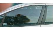 Türscheibe links vorne Peugeot 407 SW 9201HO