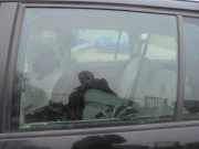 Türscheibe links hinten Citroen Xsara Picasso N68 9203GV