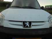 Kühlergrill Peugeot Partner II Kasten 7804N1