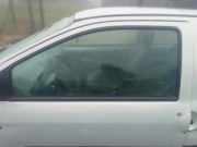 Türscheibe links Renault Twingo I C06