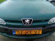 Kühlergrill Peugeot 306 7804G4