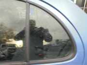 Dreieckscheibe links Nissan Micra III K12 82263AX100