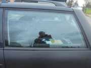 Dreieckscheibe links VW Passat B5 Variant 3B5 3B9845297AG