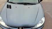 Motorhaube Peugeot 206 Schrägheck 2A/C 7901K1