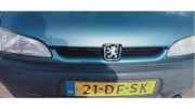 Kühlergrill Peugeot Partner I Combispace 7804F9