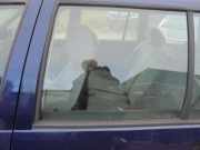 Türscheibe links hinten VW Golf IV Variant 1J 1J9845025G