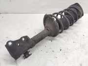 Federbein links vorne Toyota Yaris P1