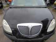 Motorhaube Lancia Ypsilon 843 51701685