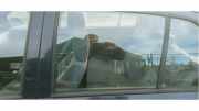 Türscheibe links hinten Hyundai Getz TB 834101C010