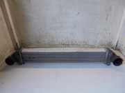 Ladeluftkühler Mercedes-Benz A-Klasse W169 A1695000000