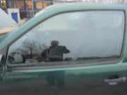 Türscheibe links VW Polo III 6N2 6N3845201A