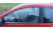 Türscheibe links Renault Twingo II CN0