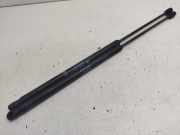 Heckklappendämpfer Peugeot 1007 9649587680