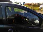 Türscheibe rechts vorne Peugeot 107 9202F7