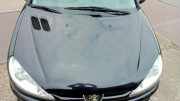 Motorhaube Peugeot 206 Schrägheck 2A/C 7901K1