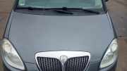 Motorhaube Lancia Musa 350 51732277