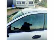 Türscheibe links vorne Mazda 323 F V BA