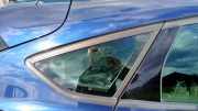 Dreieckscheibe rechts Ford Focus III DYB BM51A297B00AE