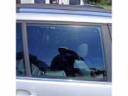 Türscheibe rechts hinten BMW 3er Touring E46 51348208998