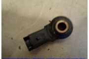Klopfsensor Peugeot 207 0261231168
