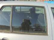 Türscheibe rechts hinten VW Golf IV 1J 1J6845026K