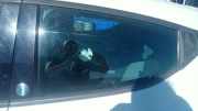 Türscheibe links hinten Lancia Ypsilon 312 51833781