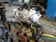 Motor ohne Anbauteile (Benzin) Renault Modus - Grand Modus P 8201282987